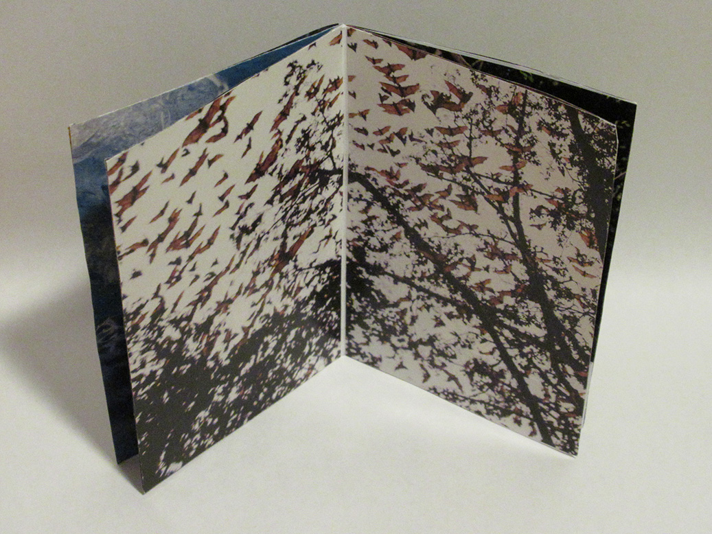 Vue de l'intérieur du zine présenté en exemple