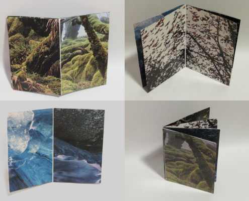 4 vues d'un zine composé de collages en pleine page.